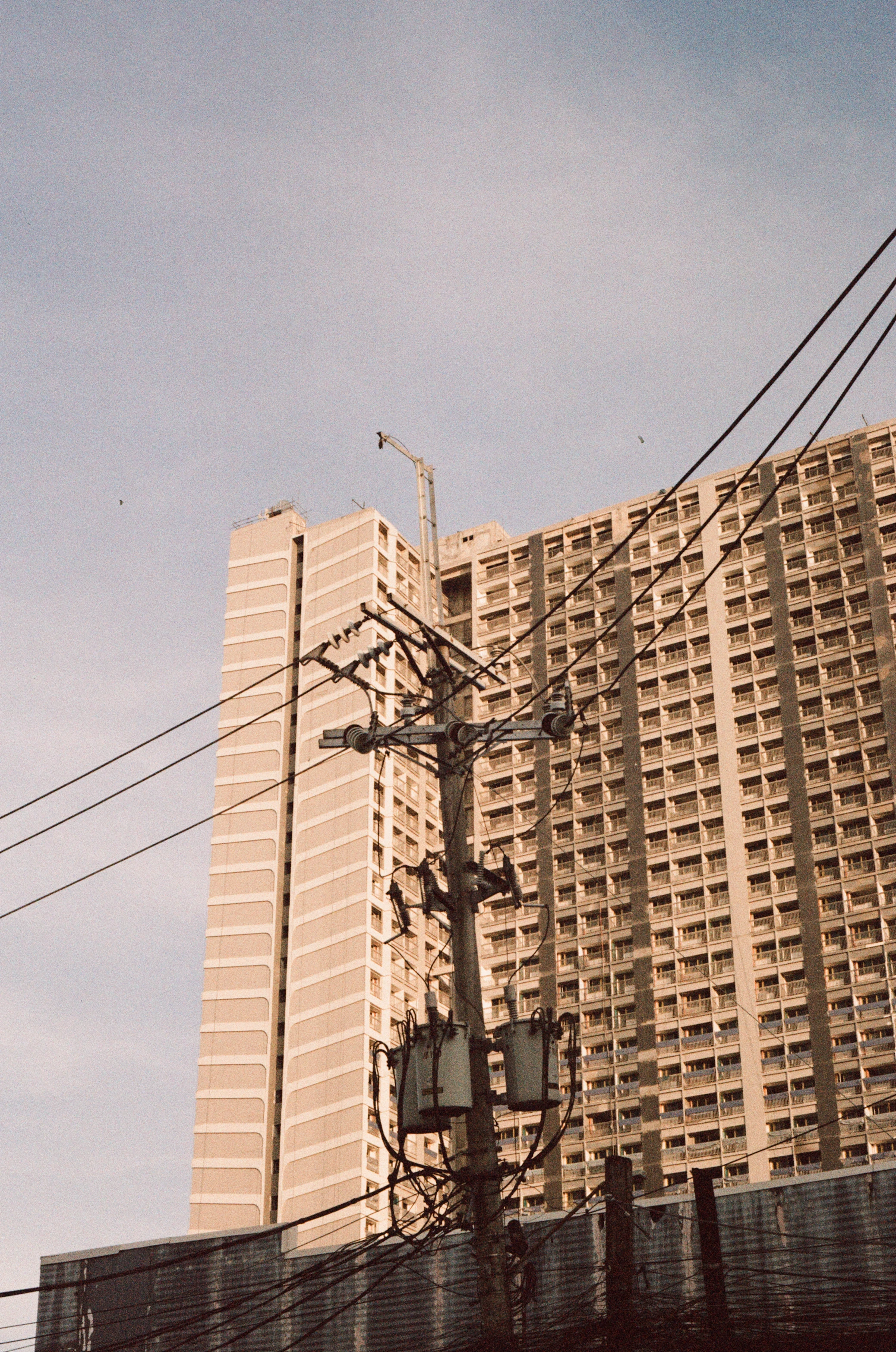 Analog Photograph